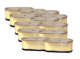 MASTER CTN REPLACEMENT FILTER FOR B&S 493909 Pack of 12